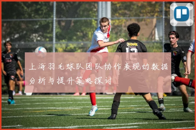 上海羽毛球队团队协作表现的数据分析与提升策略探讨