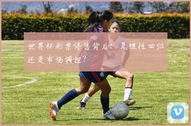 世界杯彩票停售背后:是理性回归还是市场调控?