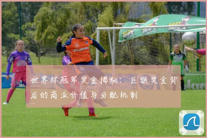 世界杯冠军奖金揭秘：巨额奖金背后的商业价值与分配机制