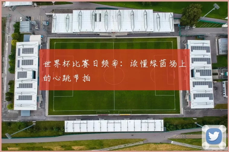 世界杯比赛日频率：读懂绿茵场上的心跳节拍