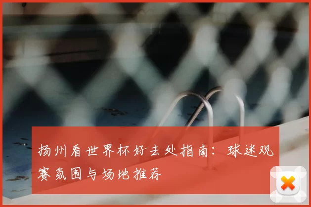 扬州看世界杯好去处指南:球迷观赛氛围与场地推荐