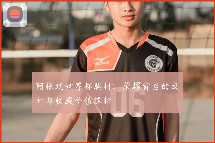 阿根廷世界杯胸针:荣耀背后的设计与收藏价值探析