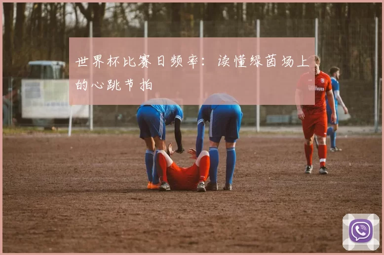 世界杯比赛日频率：读懂绿茵场上的心跳节拍